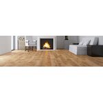 Parquet Chêne Excite