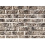 RUSTIK 526, brique en béton pour mur extérieur