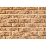 RUSTIK 548, brique en béton pour mur extérieur