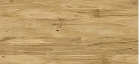 Parquet Chêne Caramel Medio