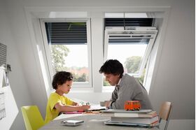Volet roulant solaire VELUX SSL 0000