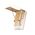 FAKRO Escalier escamotable LWT, avec une echelle en bois, super thermo – isolant