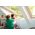 Fenêtre triple vitrage VELUX GLL-B 1061 | Finition bois massif